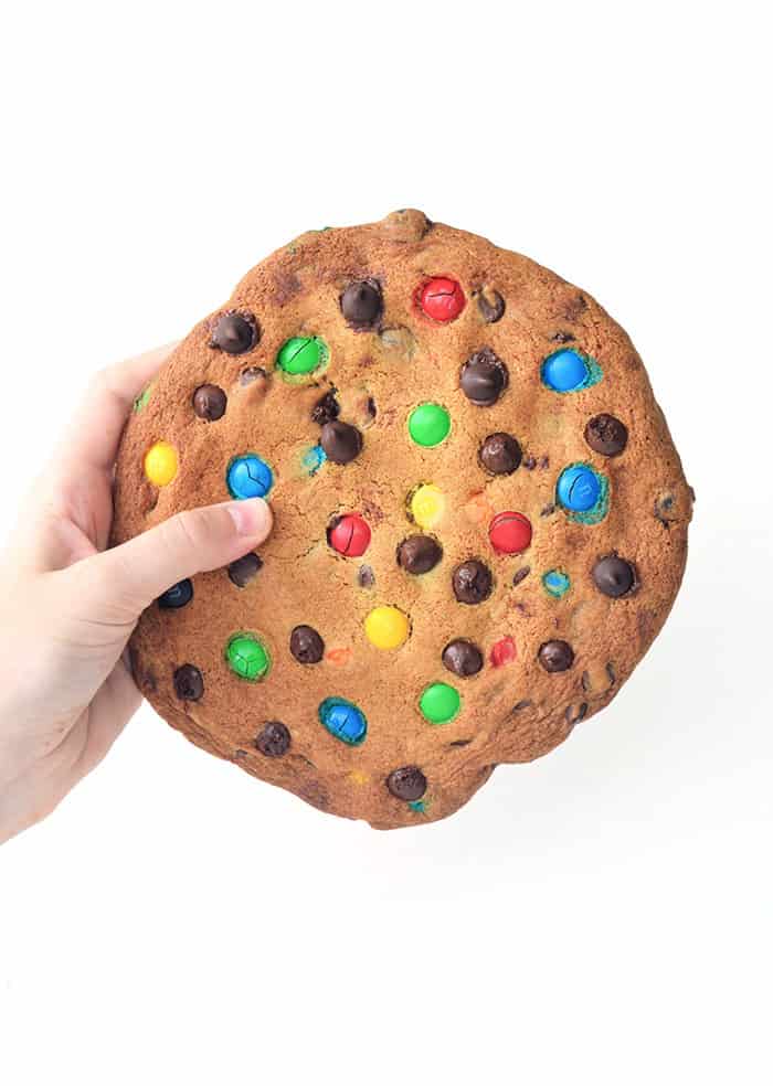 One Giant M&M Chocolate Chip Cookie (Video)
