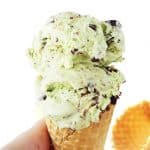 Mint Chocolate Chip Ice Cream