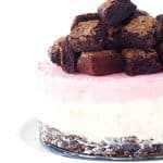Neapolitan ice cream cake