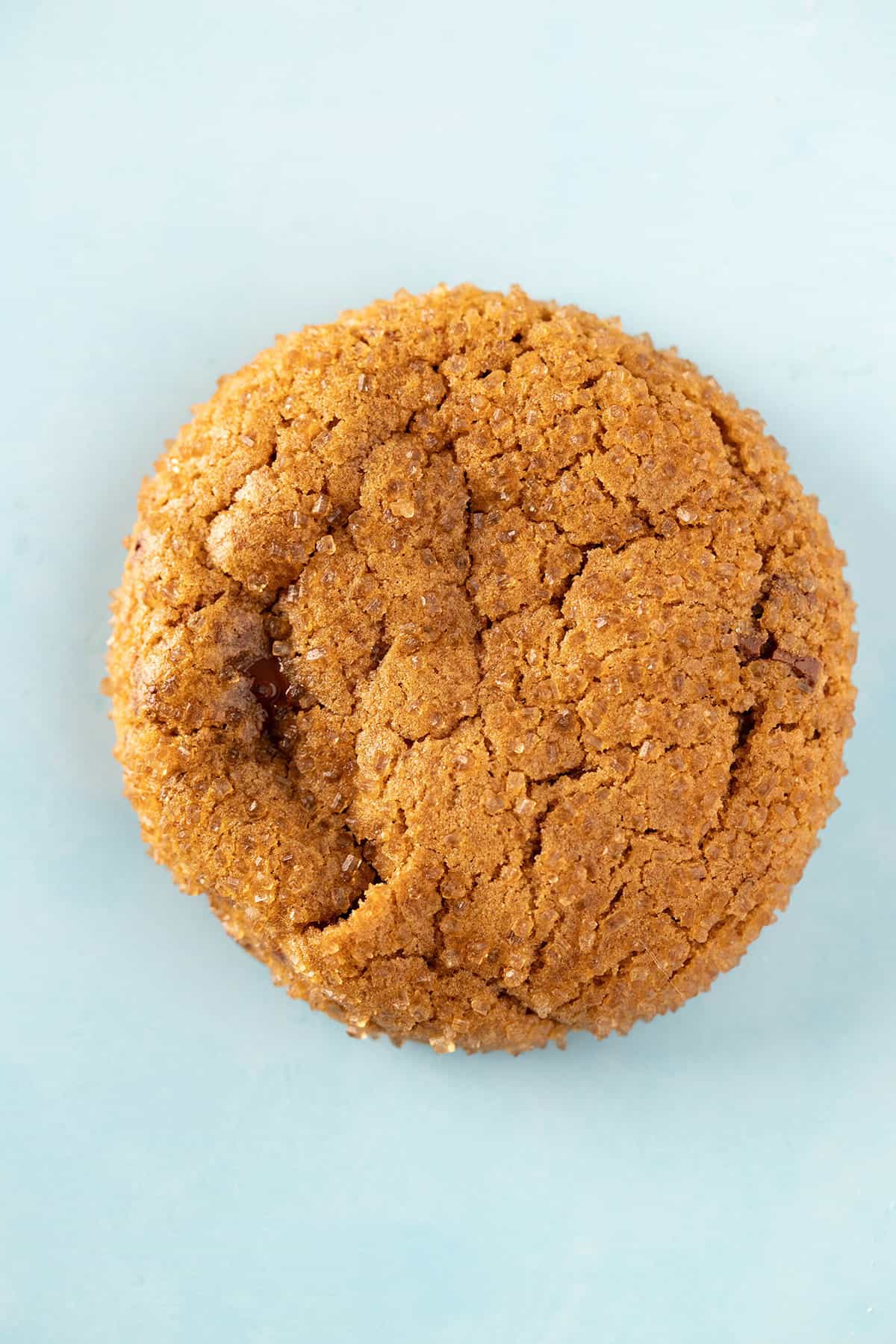 Close up of a beautiful Molasses Cookie. 