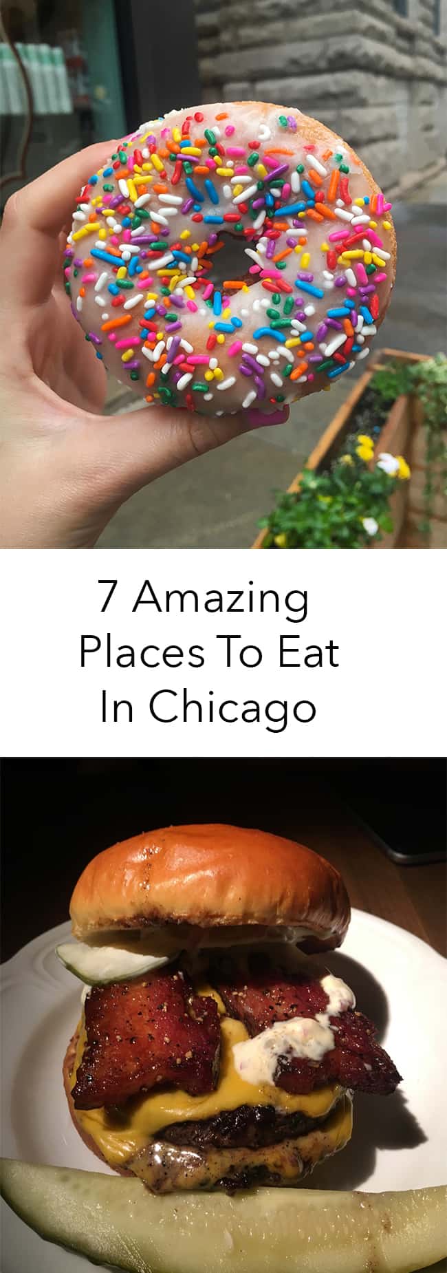 7 Amazing Places To Eat In Chicago