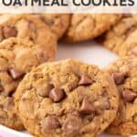 A bunch of freshly made Oatmeal Chocolate Chip Cookies on a white plate