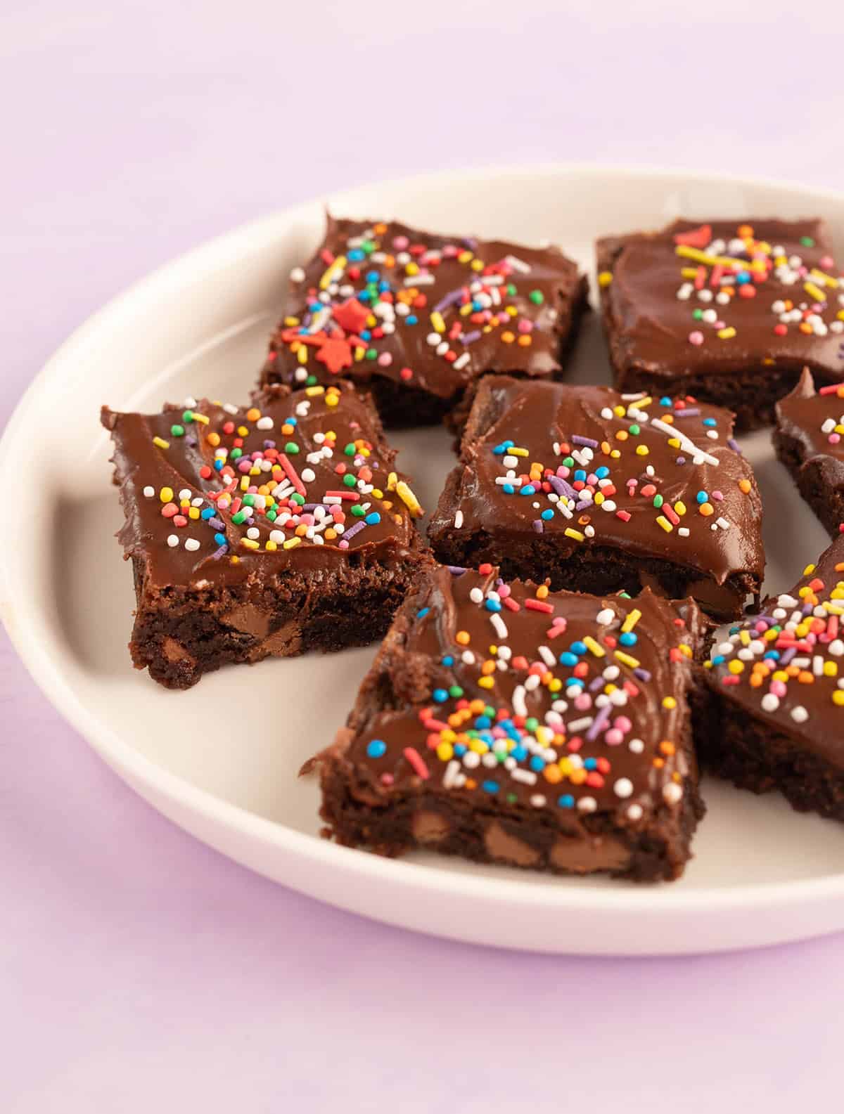 A plate of chocolate slice