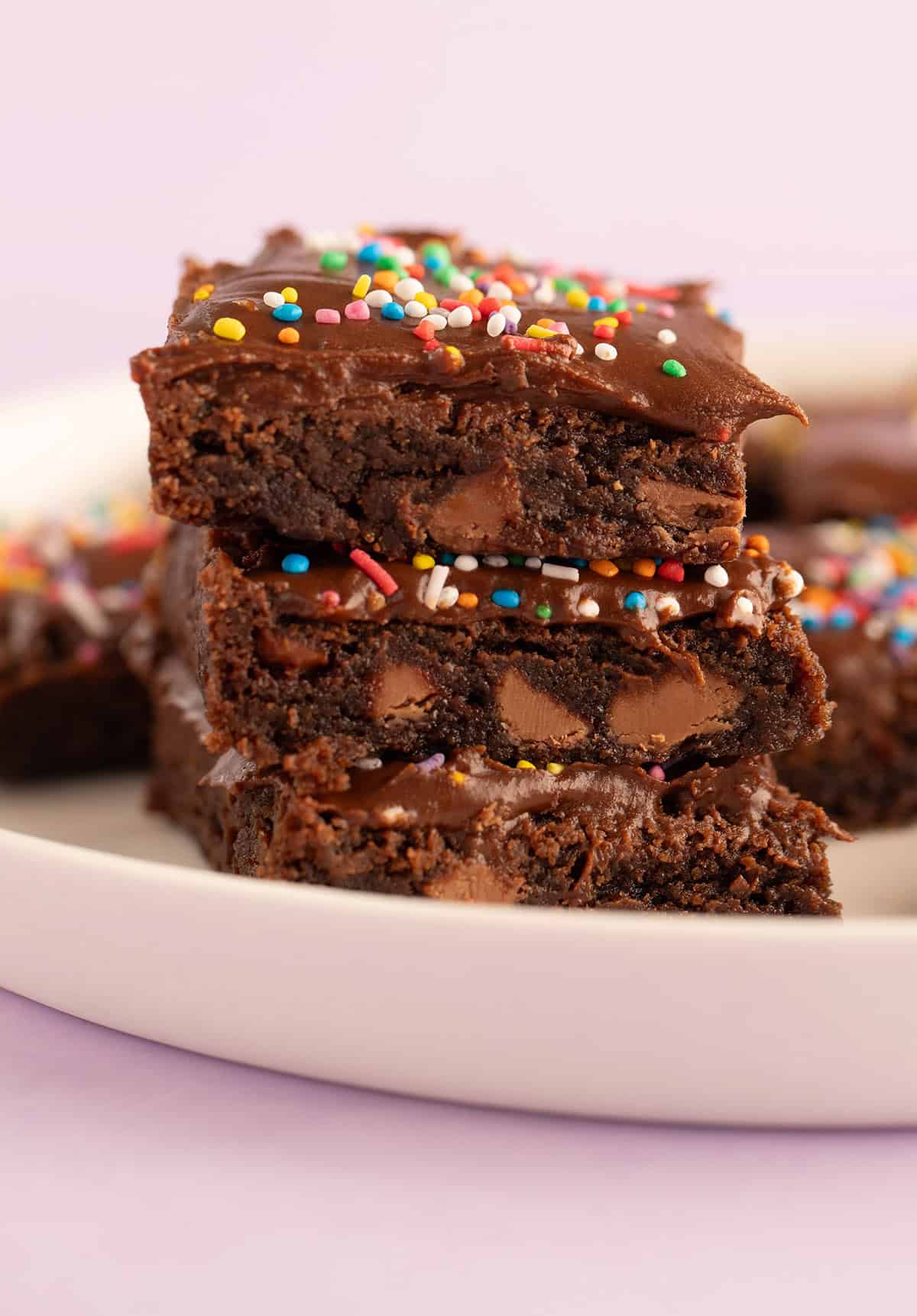 A beautiful stack of chocolate slice.