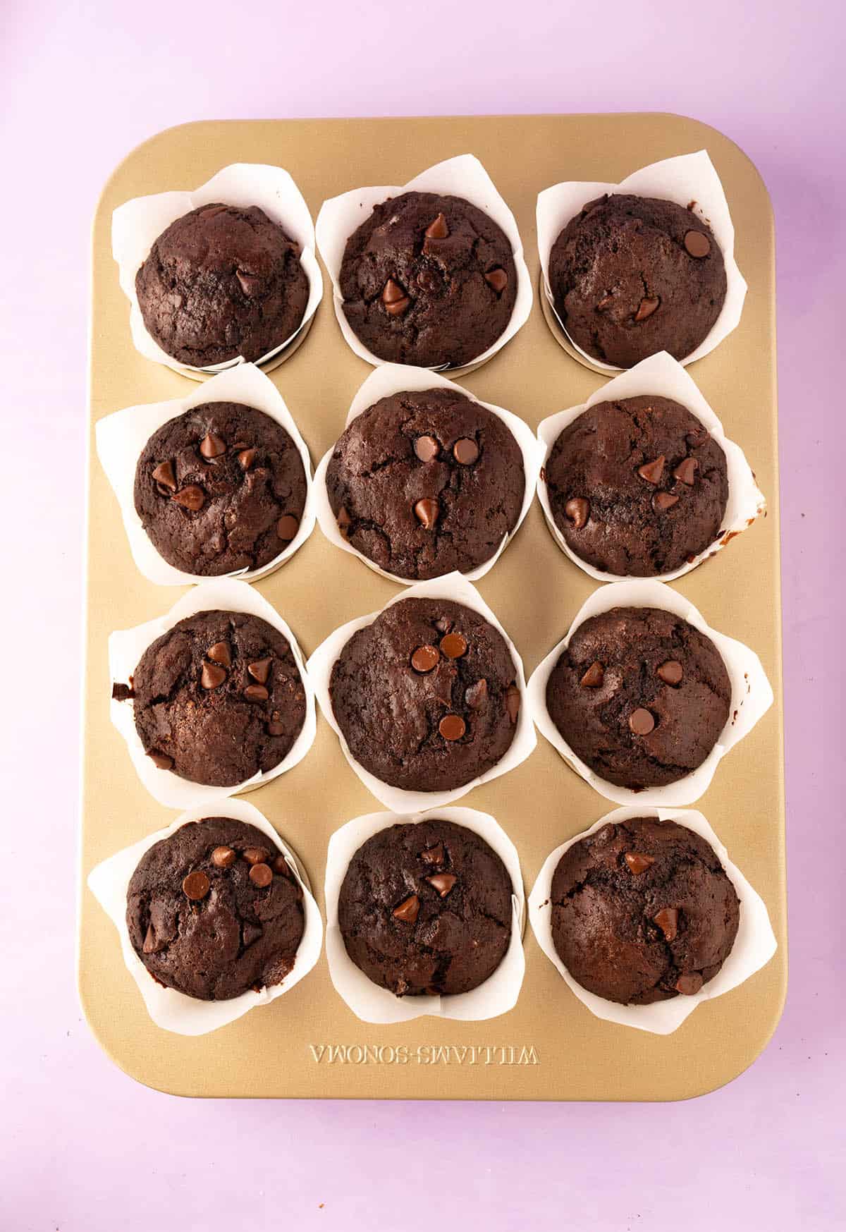 Top view of a beautiful pan of chocolate muffins.