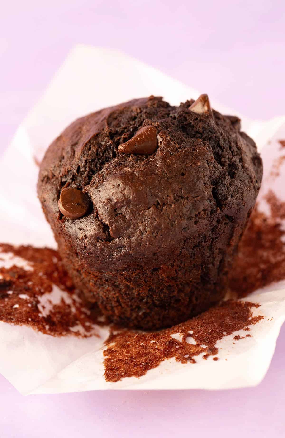 A beautiful tall chocolate muffin on a purple background.
