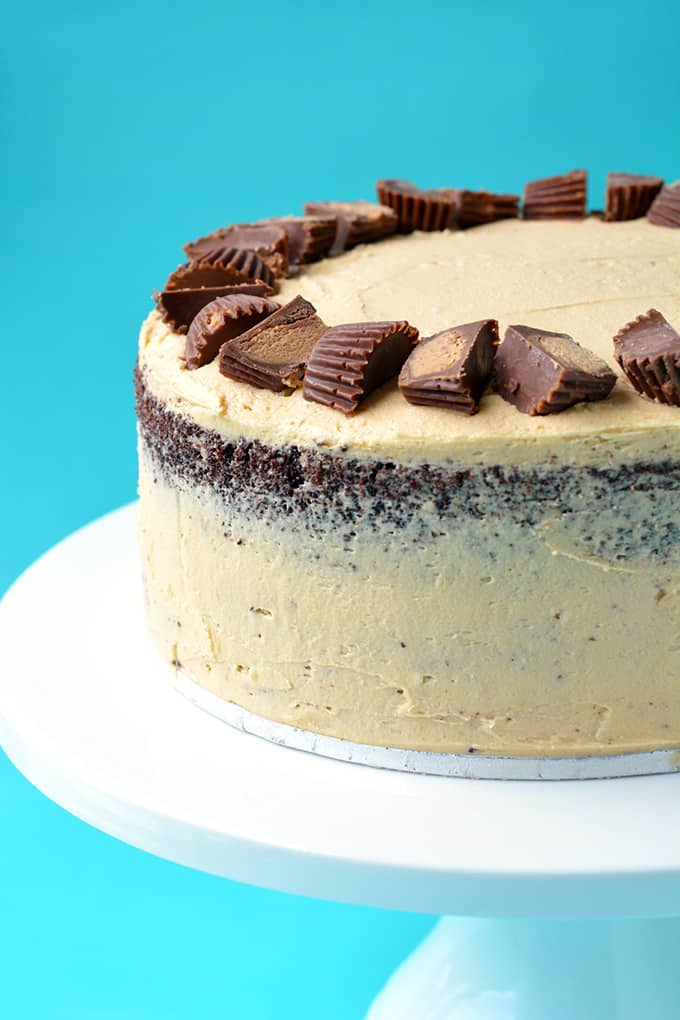 Peanut butter chocolate layer cake on a white cake stand