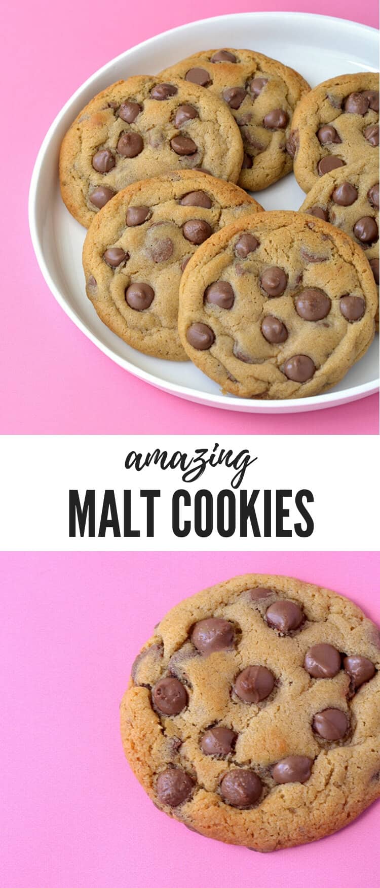 You'll love these buttery Malted Chocolate Chip Cookies. Made with malted milk powder and packed with milk chocolate chips, they're sweet, chewy and packed with malt flavour. Recipe from sweetestmenu.com #cookies #malt #chocolate #chocchip