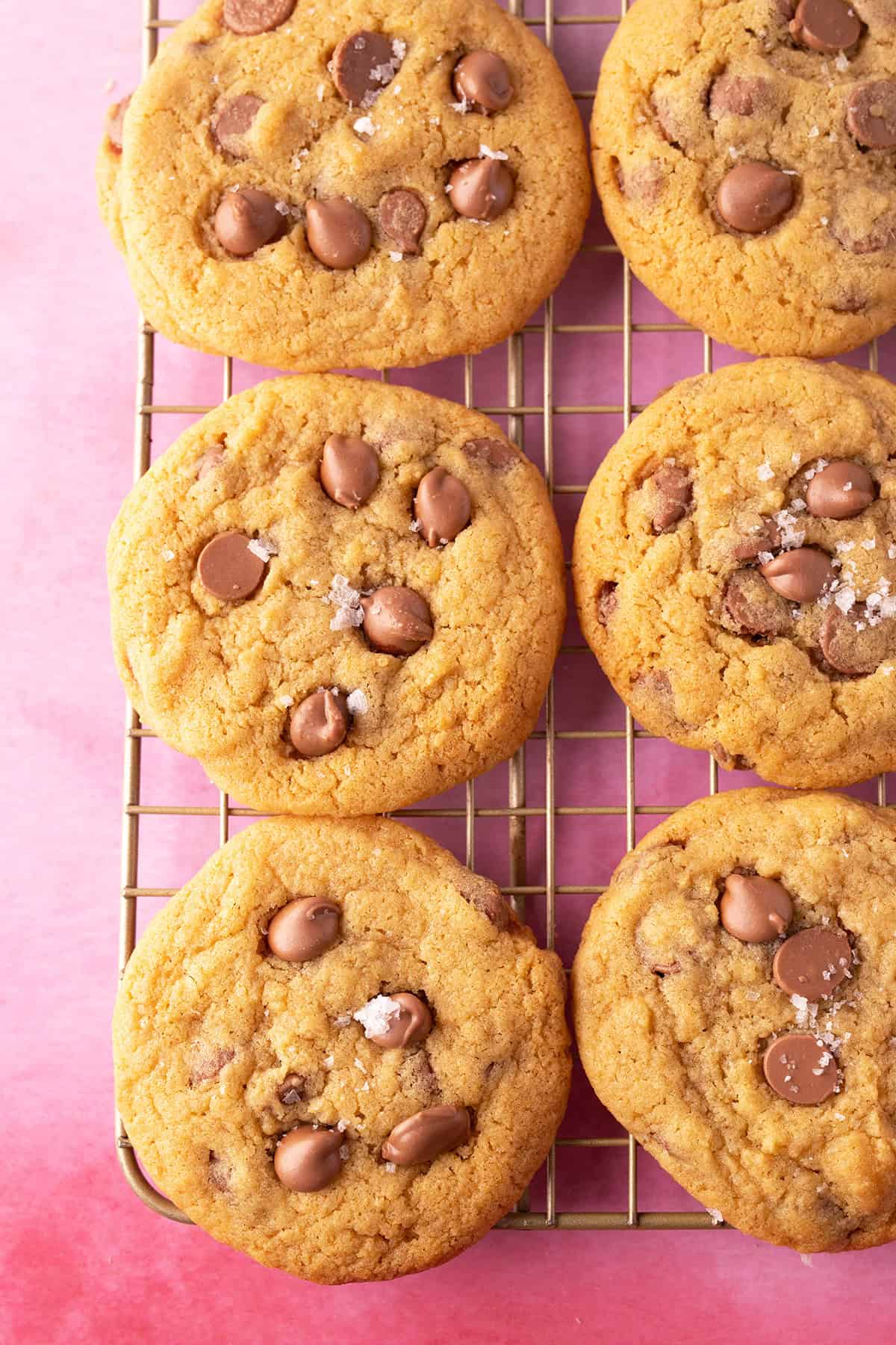 Top view of a beautiful malted chocolate chip cookies on a wire cooling rack.