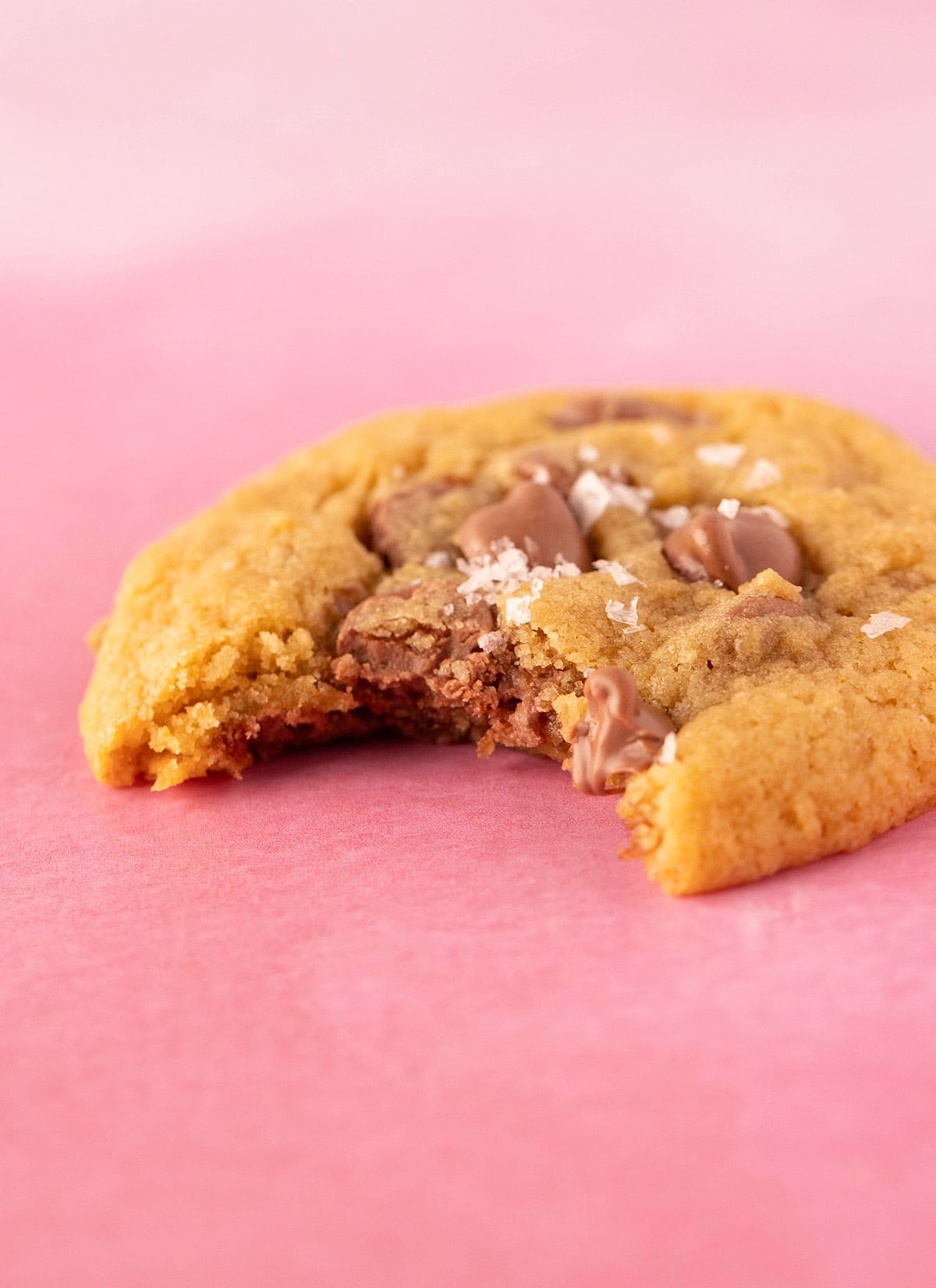 A malt cookie with a bite taken out of it.
