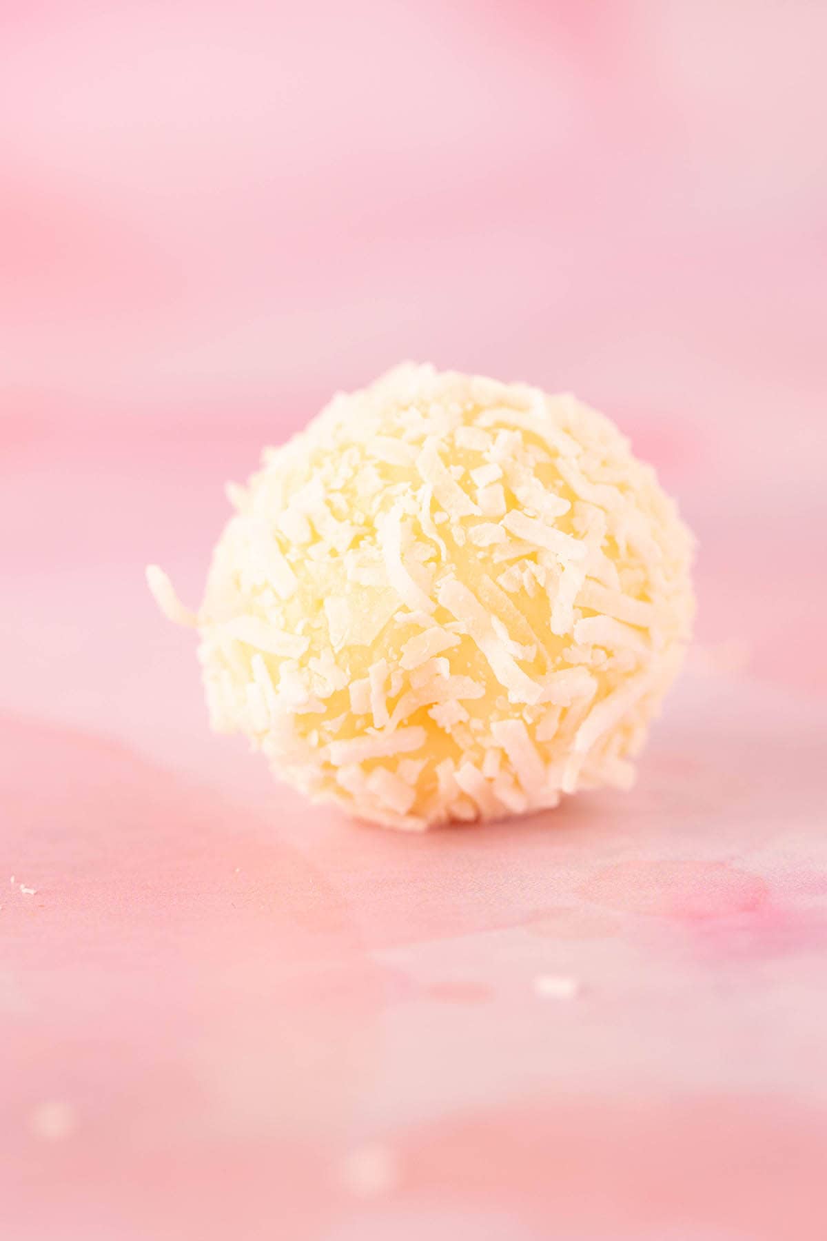 One Coconut Truffle on a pink background.