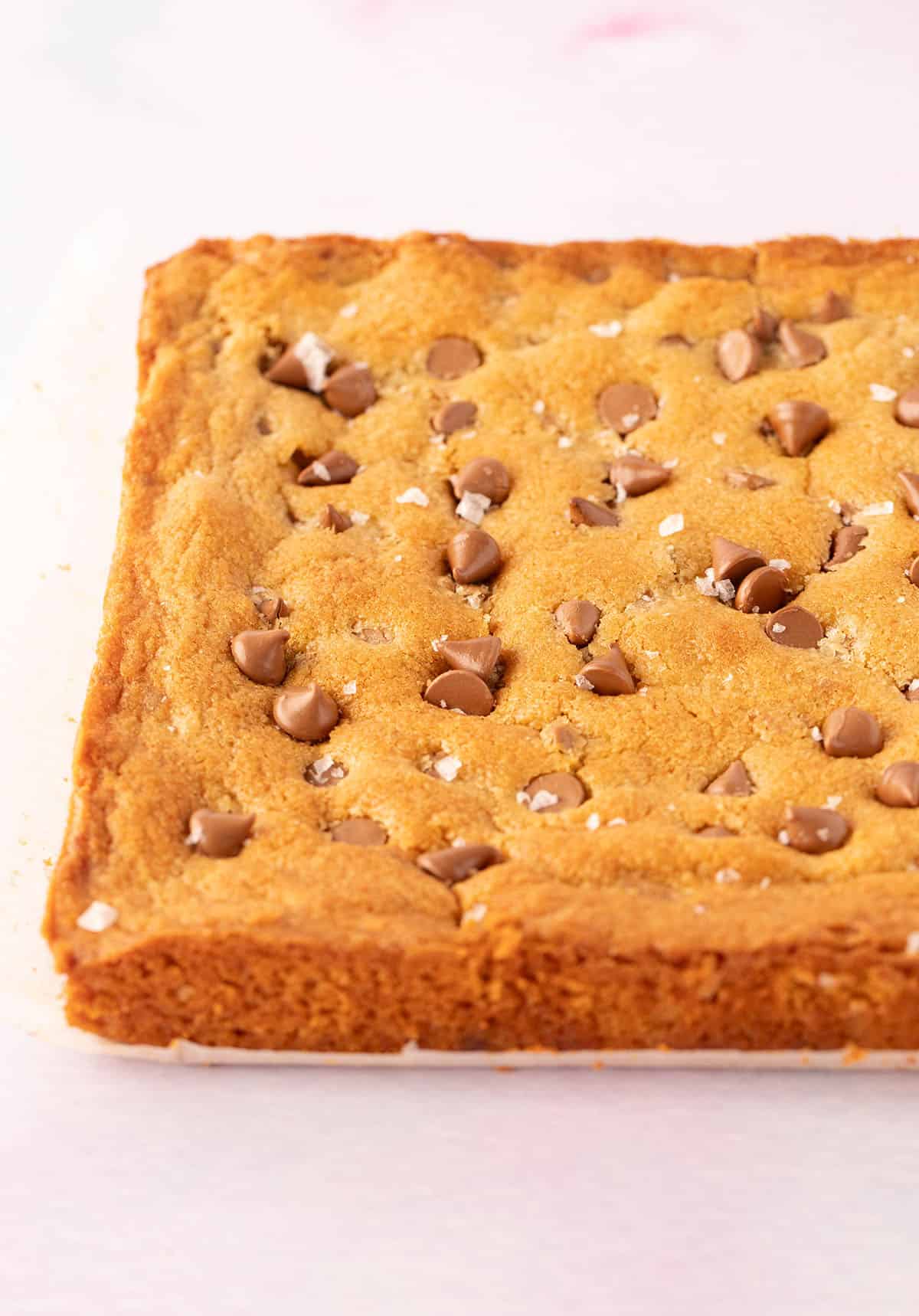 A slab of Congo Bars fresh from the oven, ready to be sliced. 