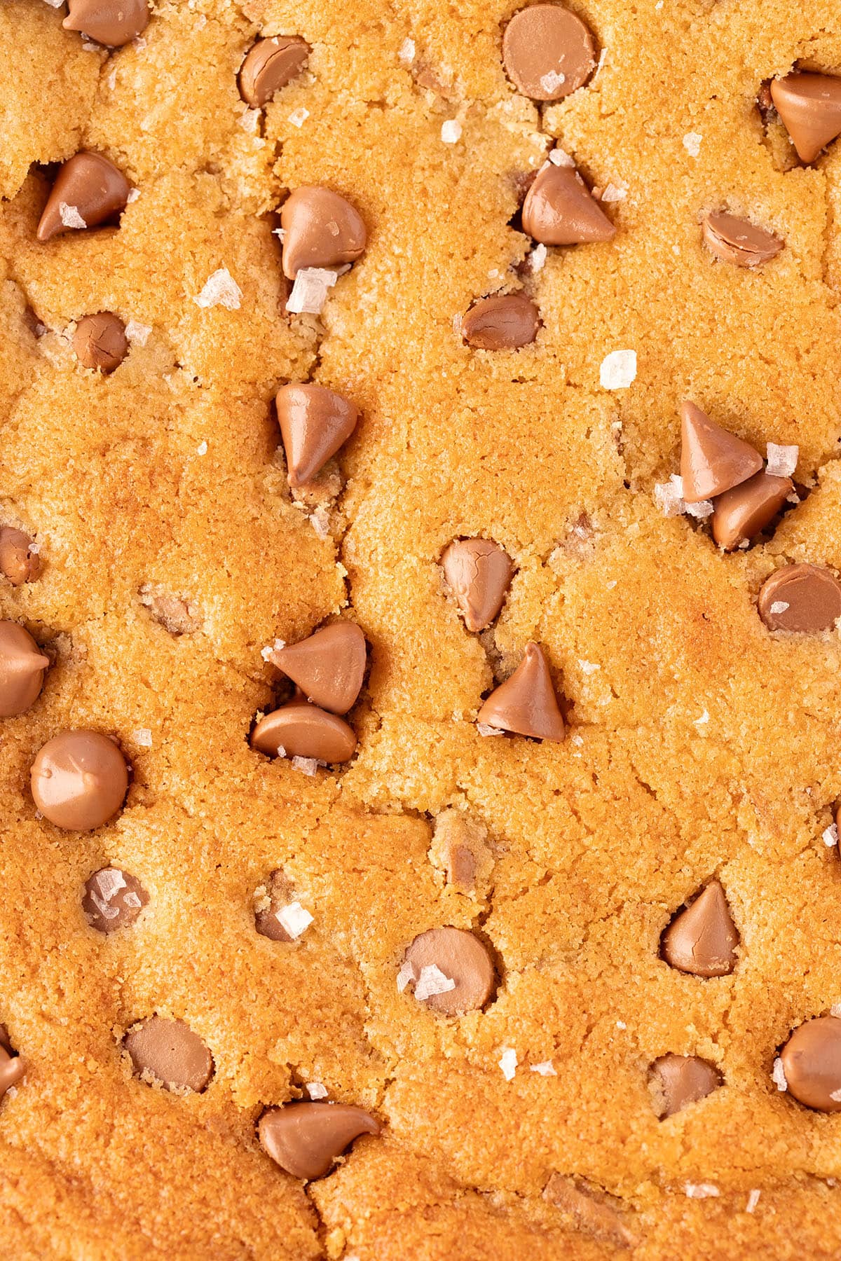 Close up photo of a pan of homemade chocolate chip cookie bars sprinkled with sea salt.