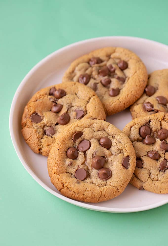 Homemade chocolate chip cookies on a white plate