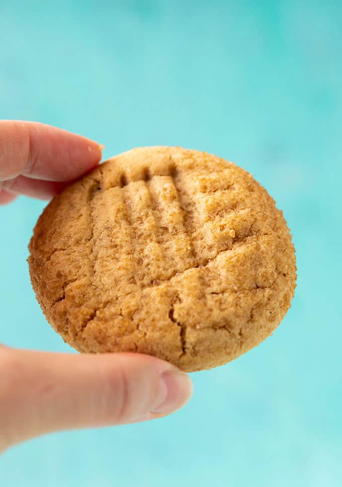 A hand holding a Peanut Butter Cookie