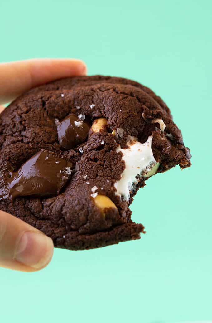 A hand holding a chocolate cookie with a bite taken out of it