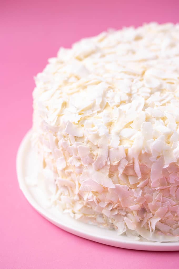 A Coconut Cake covered in coconut flakes with a pink background