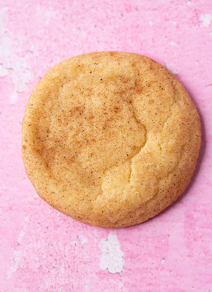 Close up of a homemade Snickerdoodle Cookie on a pink background