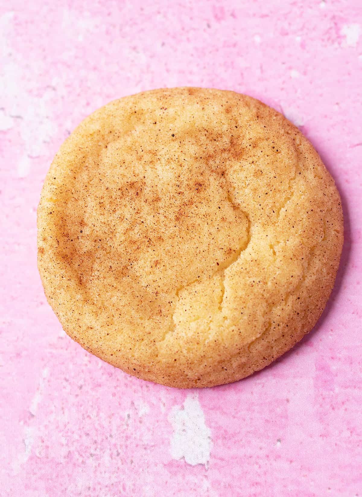 A Snickerdoodle Cookie sitting on a pink background. 
