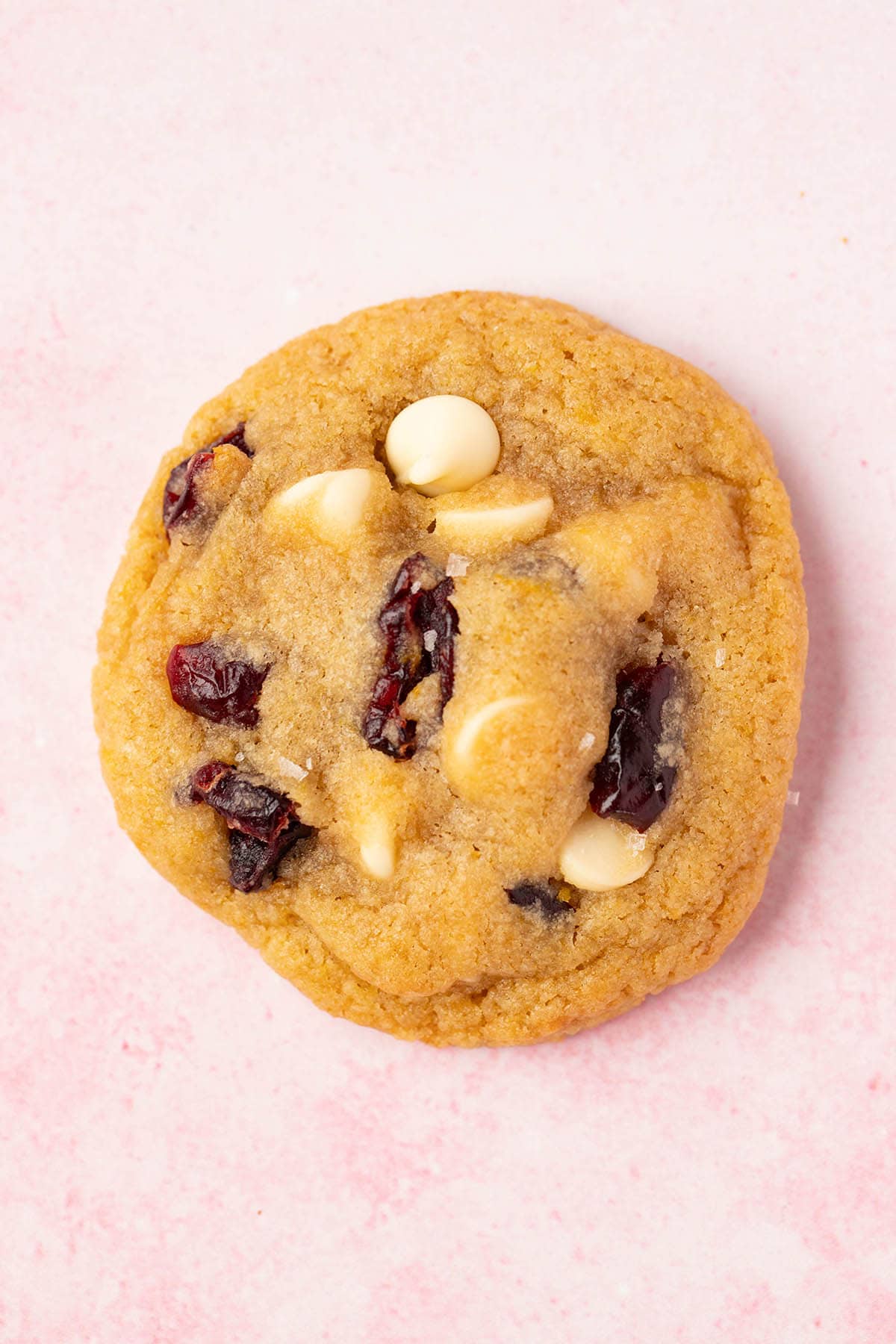 Close up of a white chocolate cranberry cookie on a pink backdrop. 