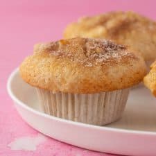 Easy Apple Muffins-image
