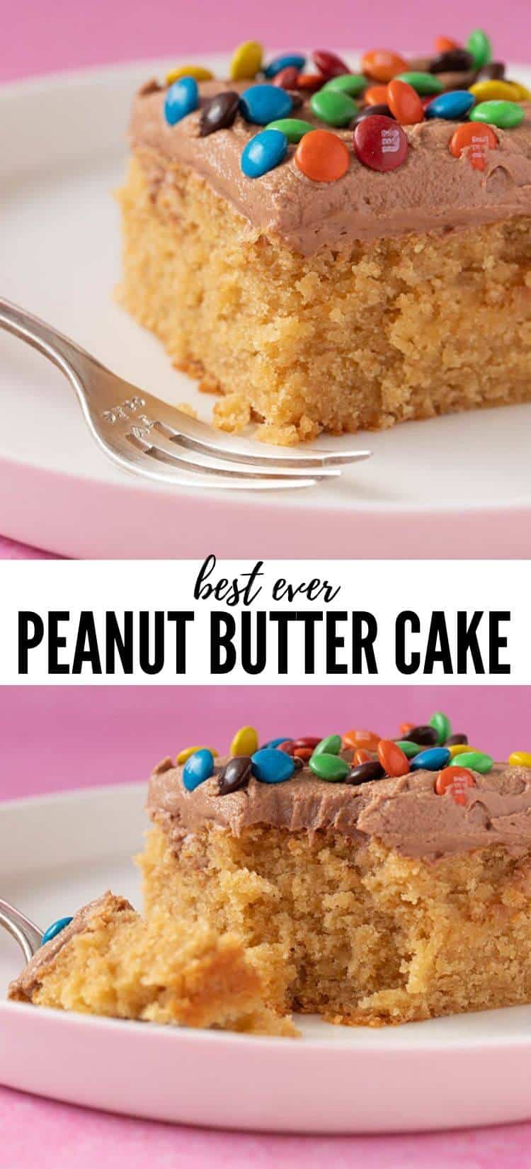 Best Ever Peanut Butter Sheet Cake - Sweetest Menu
