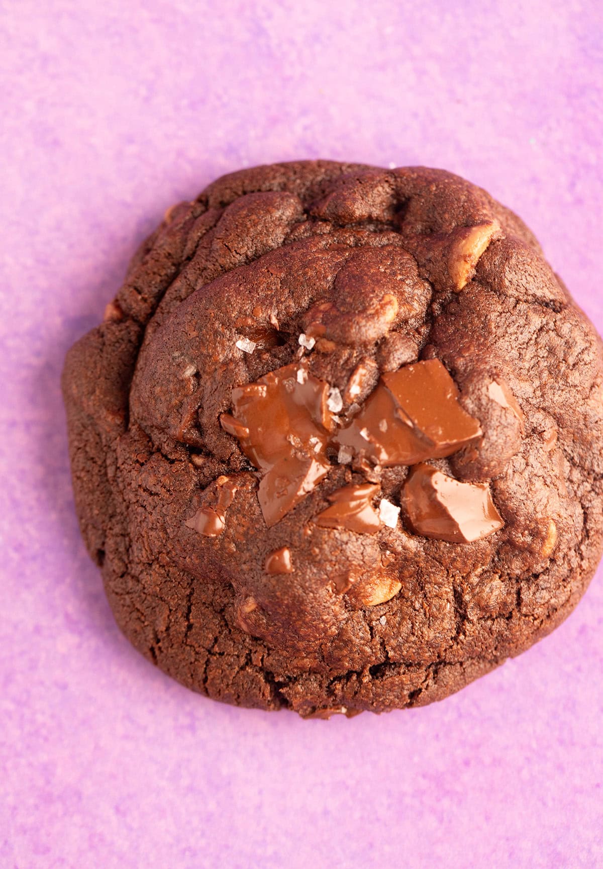 Top view of chocolate cookie topped with gooey melted chocolate and sea salt. 