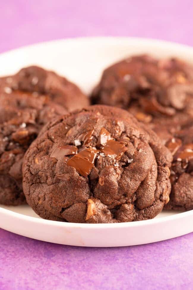 A plate of beautiful chocolate cookies