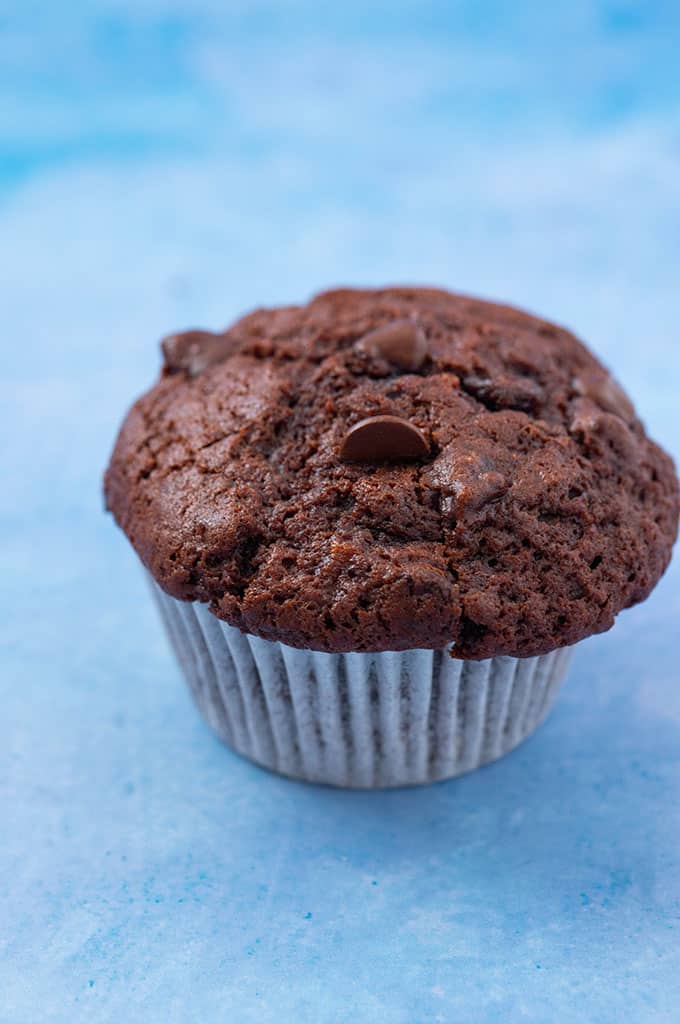 Close up shot of a Chocolate Banana Muffins on a blue background