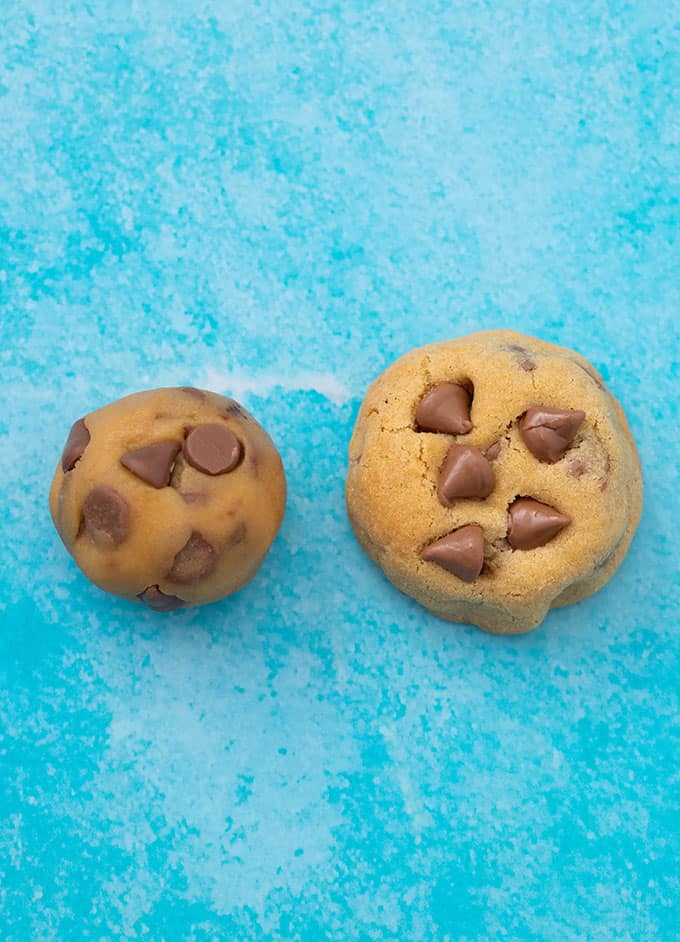 Two chocolate chip cookies on a blue background