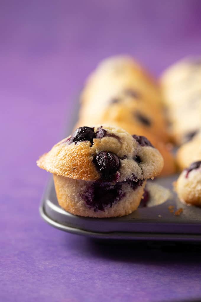 Close up shot of a mini Blueberry Muffin on a purple background