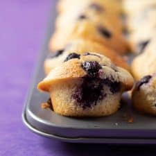 Mini Blueberry Muffins
