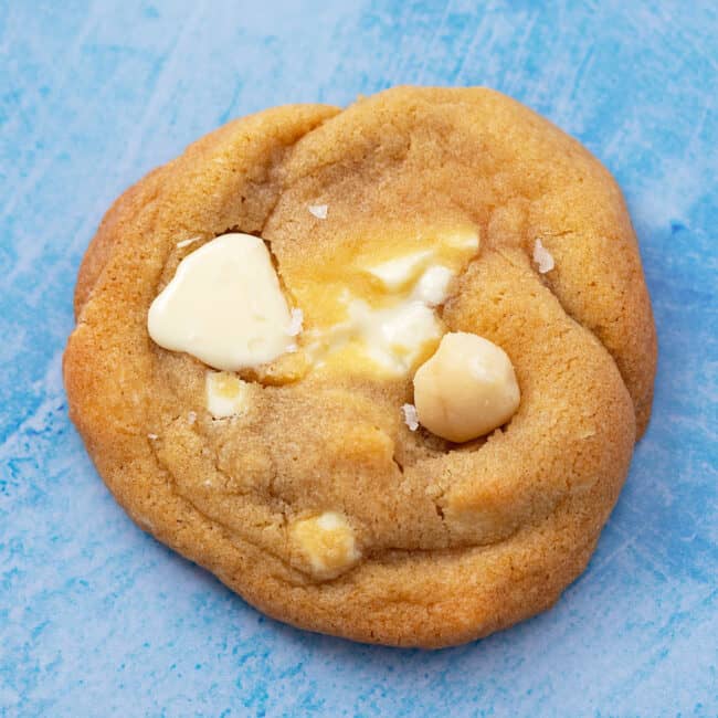 Close up of a white chocolate macadamia cookie on a blue background.