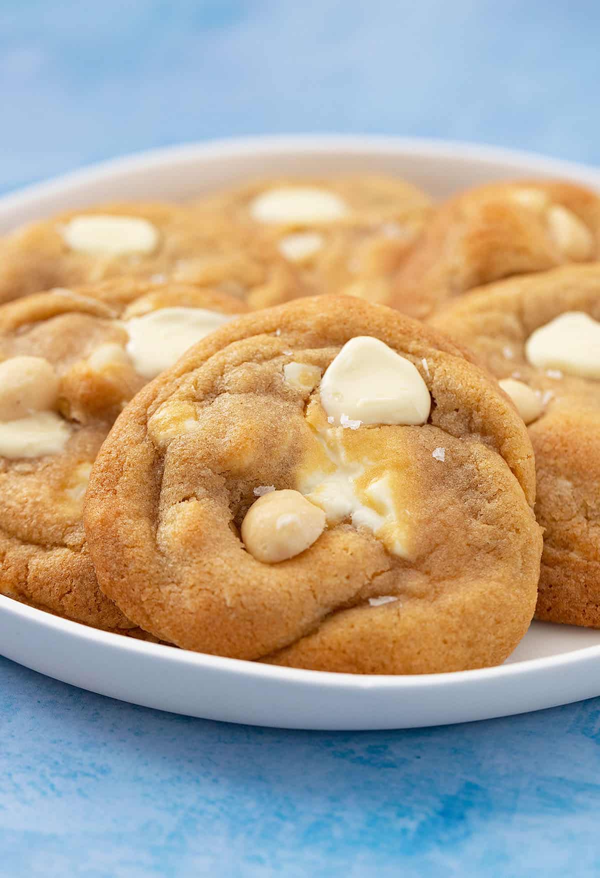 A plate of golden white chocolate macadamia cookies. 