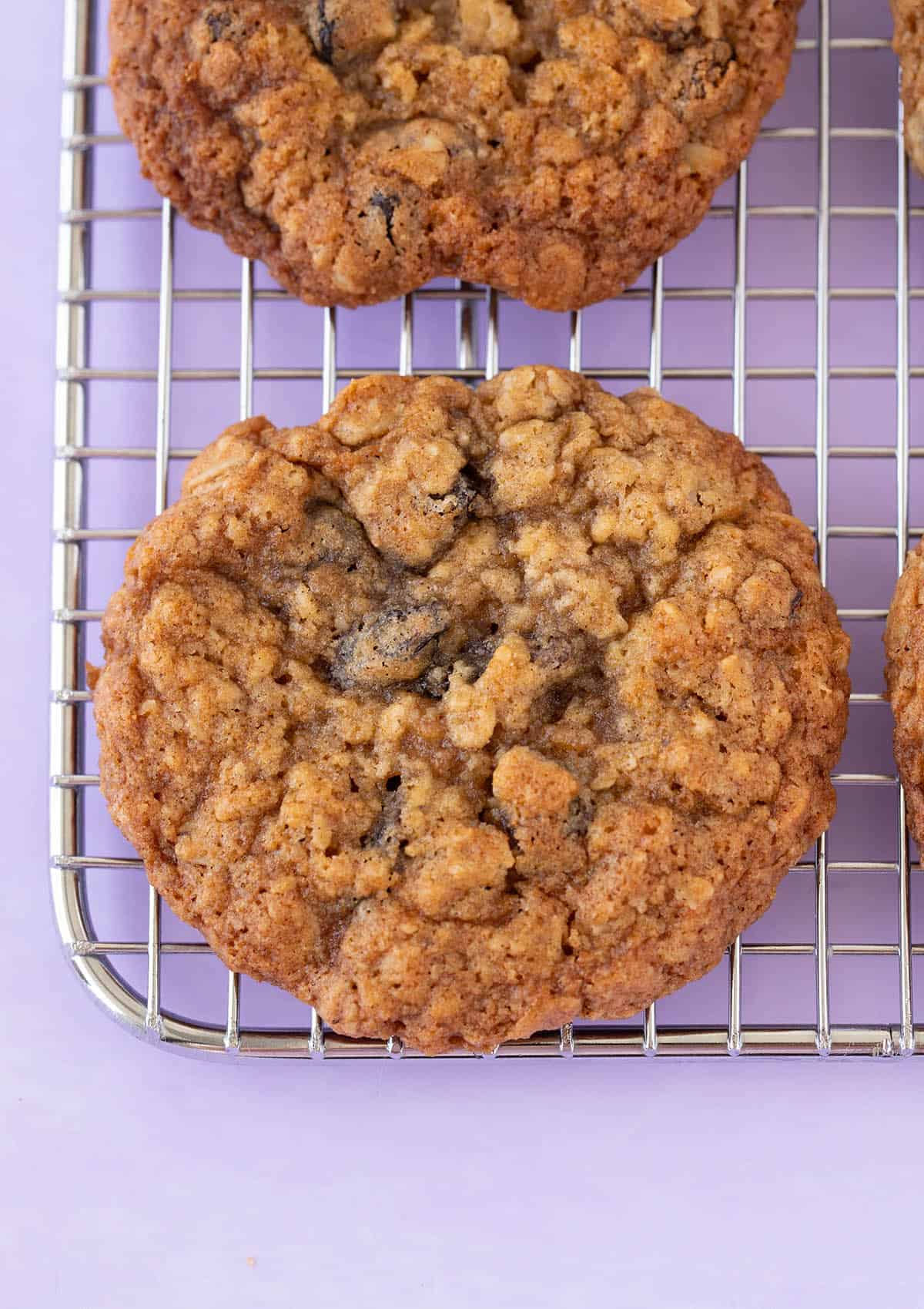 Close up of a homemade Chewy Oatmeal Raisin Cookie