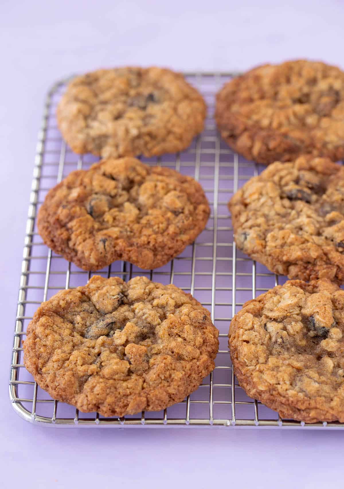 A wire cooling rack with homemade Oatmeal Raisin Cookies on it