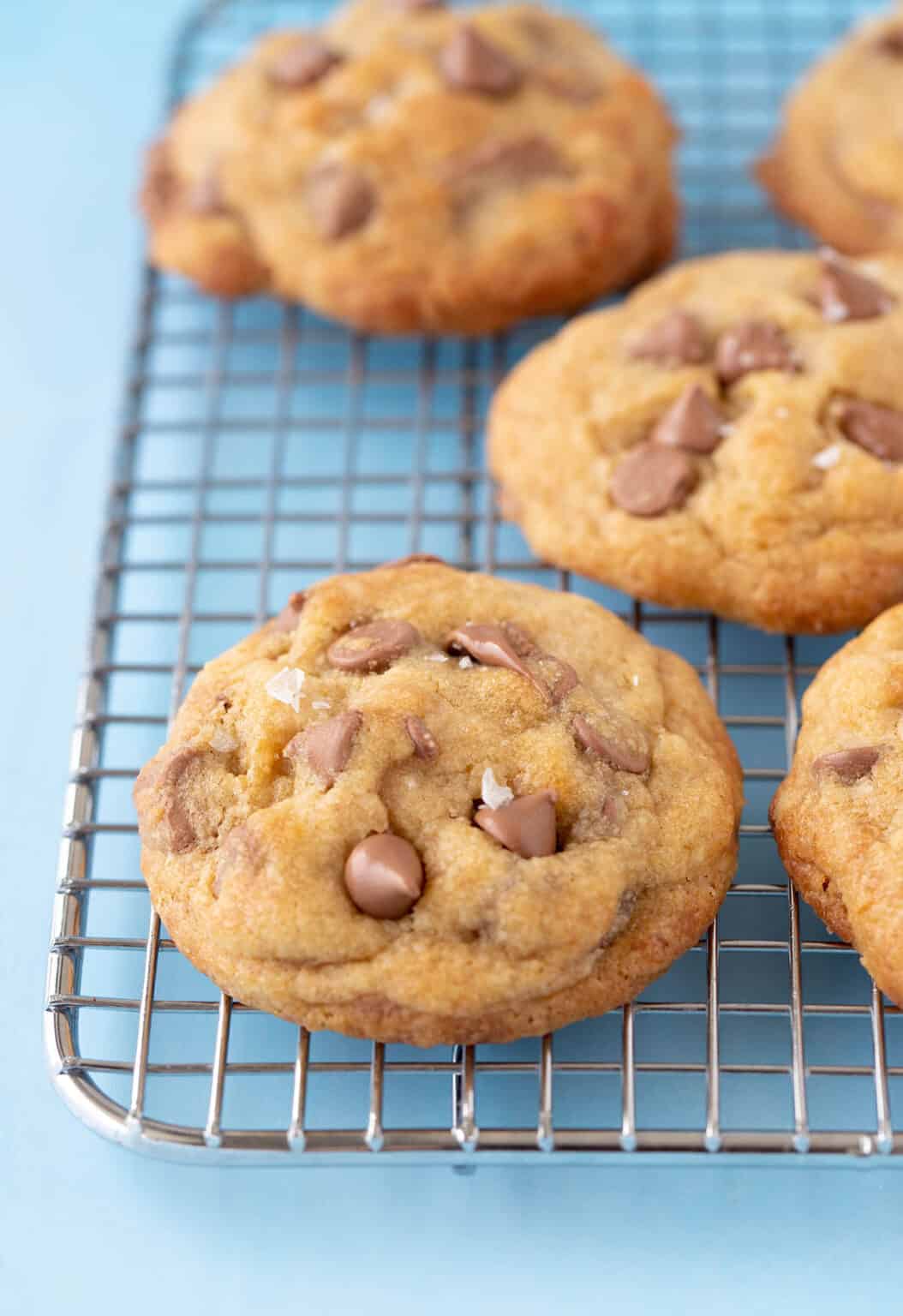 The BEST Brown Butter Chocolate Chip Cookies I’ve Ever Had Sweetest Menu
