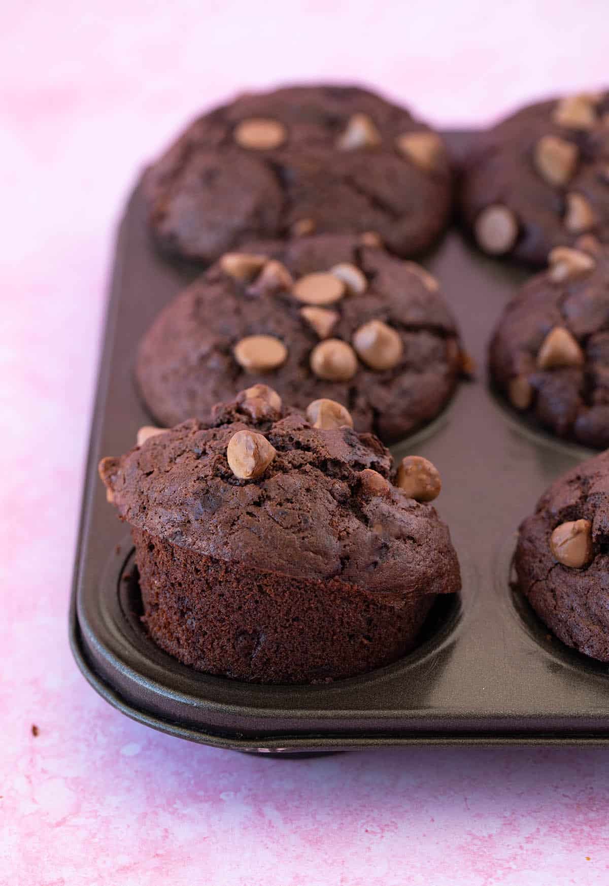 Close up of a chocolate muffin