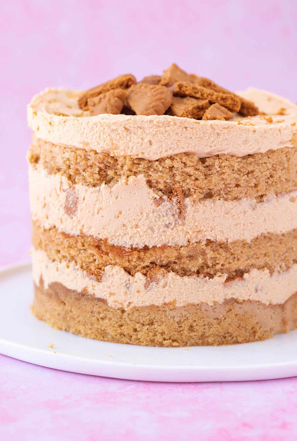 A stunning Biscoff Cake on a pink background. 