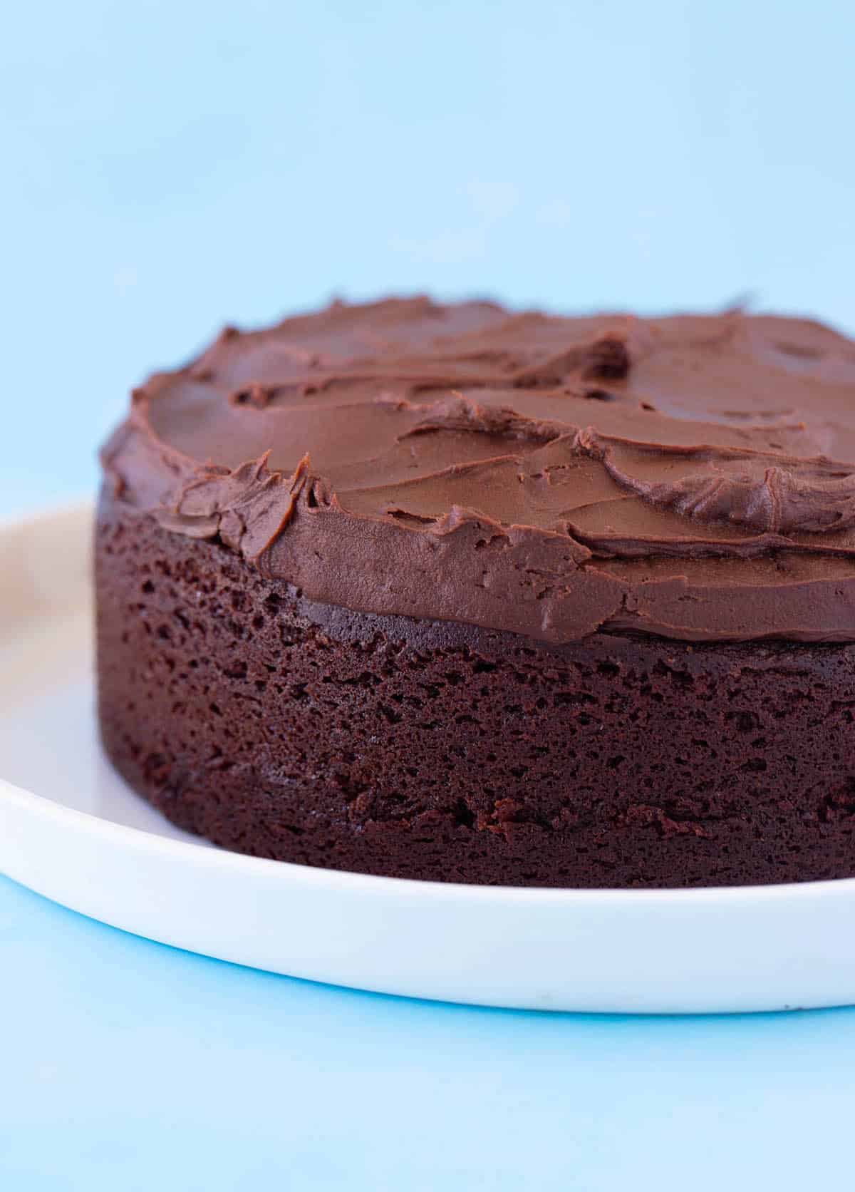 Close up of a small chocolate cake topped with a fudgy chocolate frosting