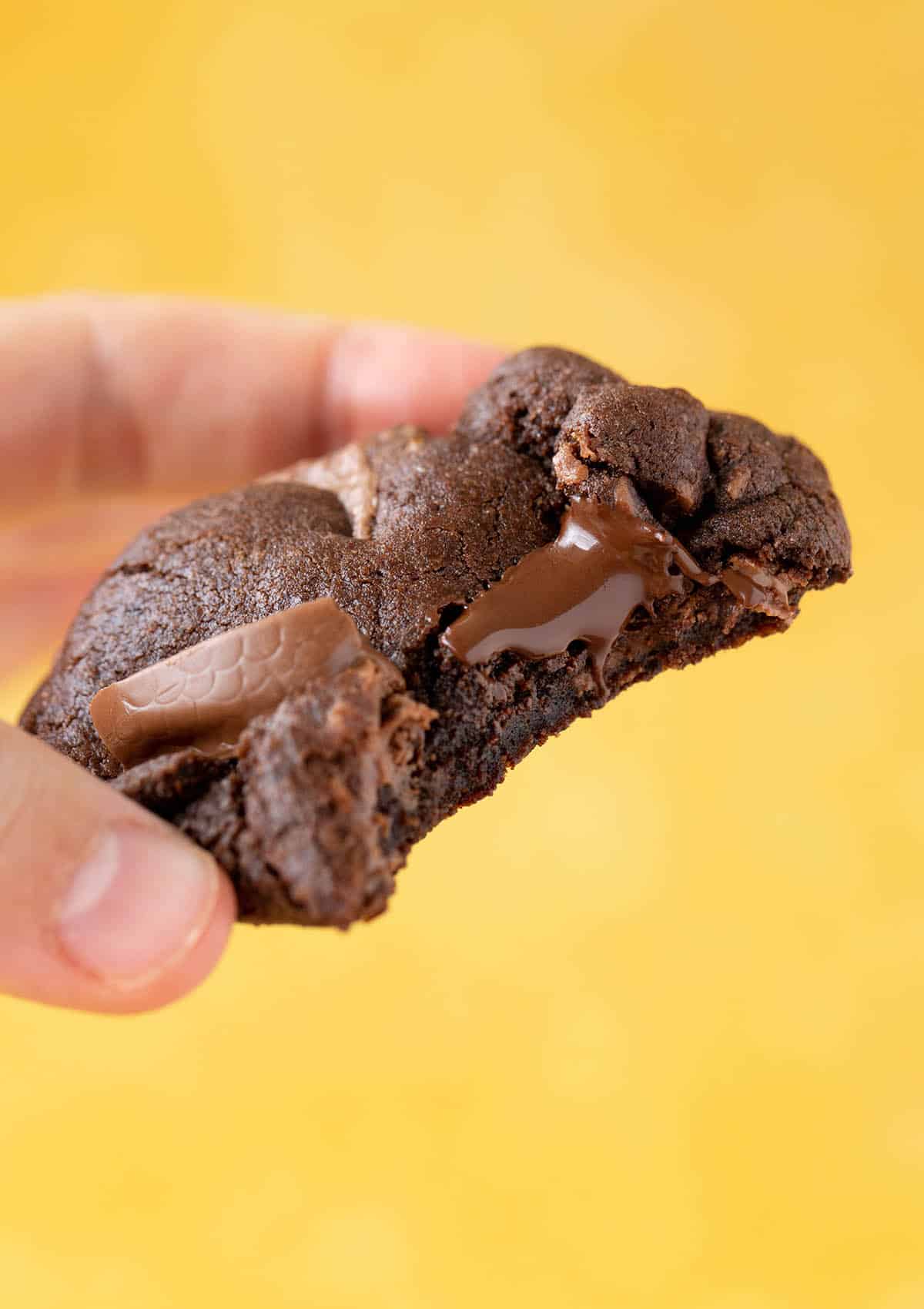 A hand holding a chocolate orange cookie with a bite taken out of it. 