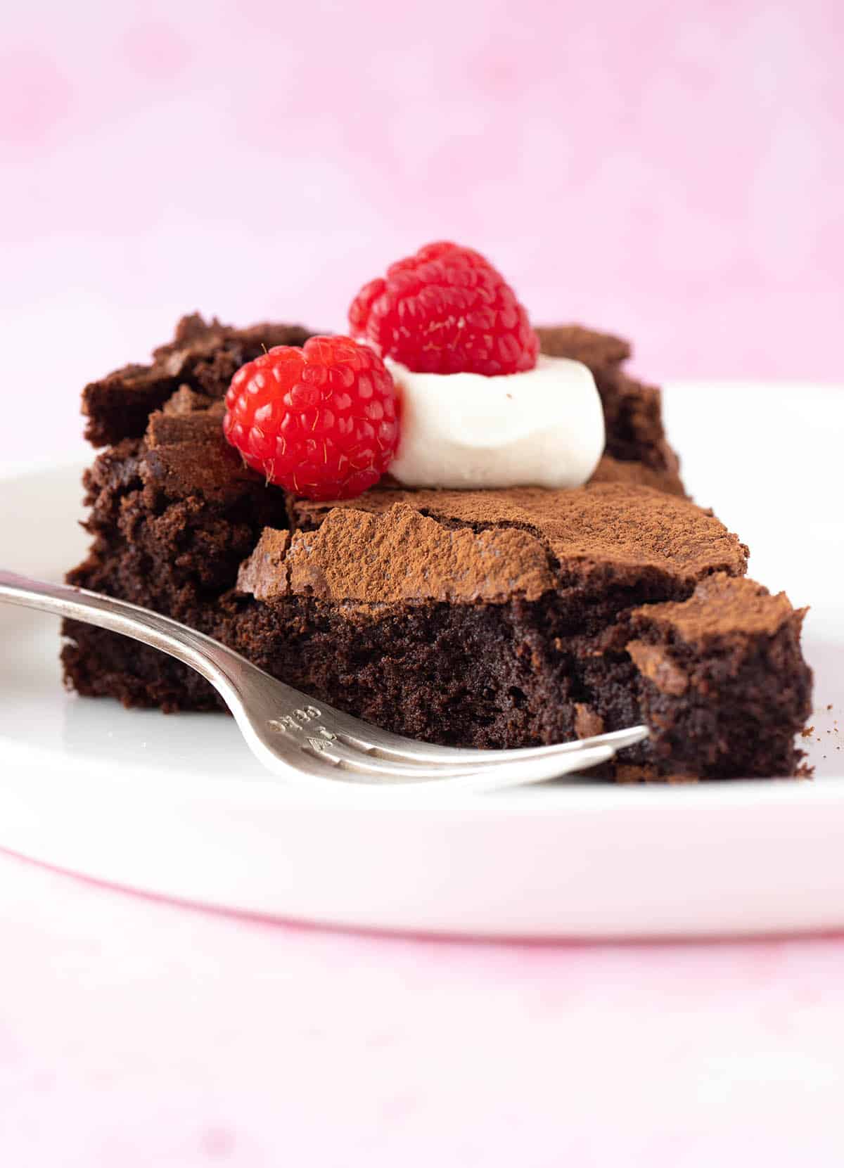 A beautiful slice of Flourless Chocolate Cake on a white plate.
