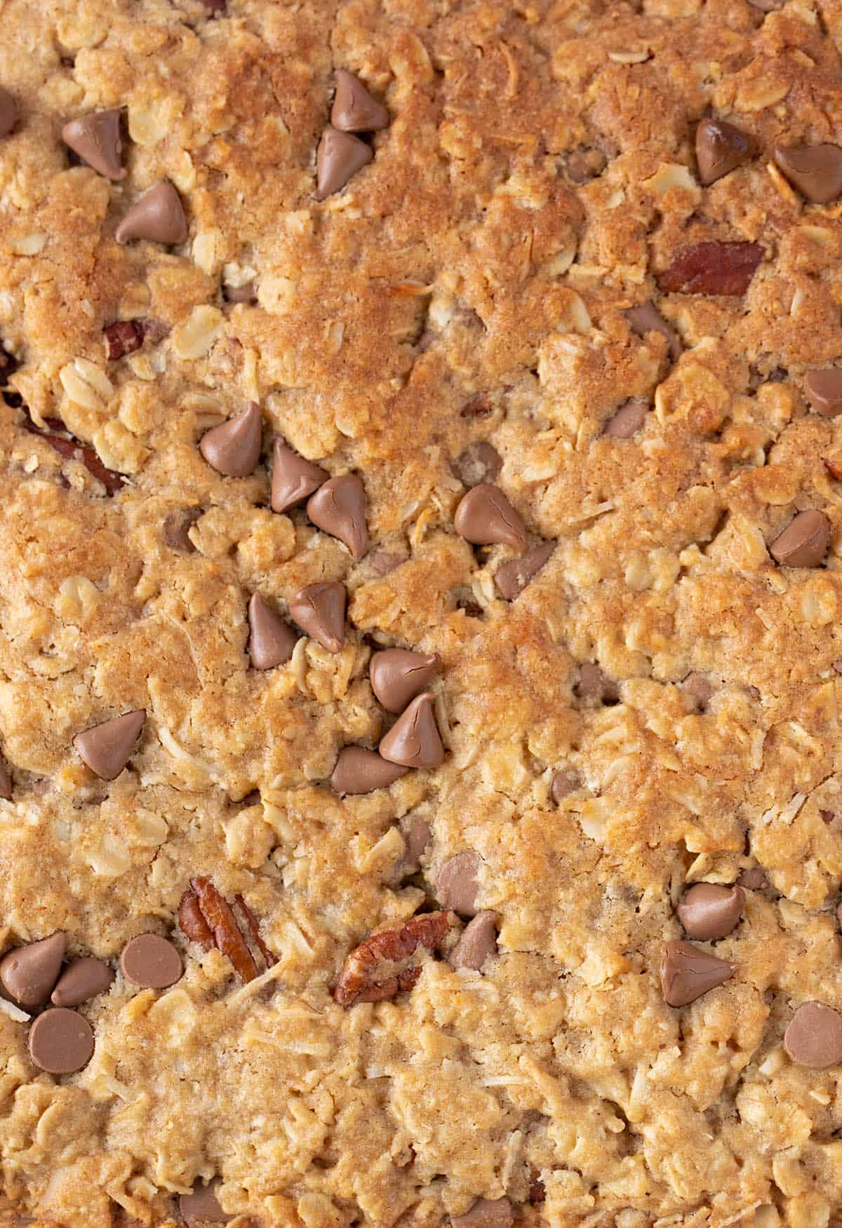Extreme close up of the crispy, golden top of a chewy Oat Slice. 