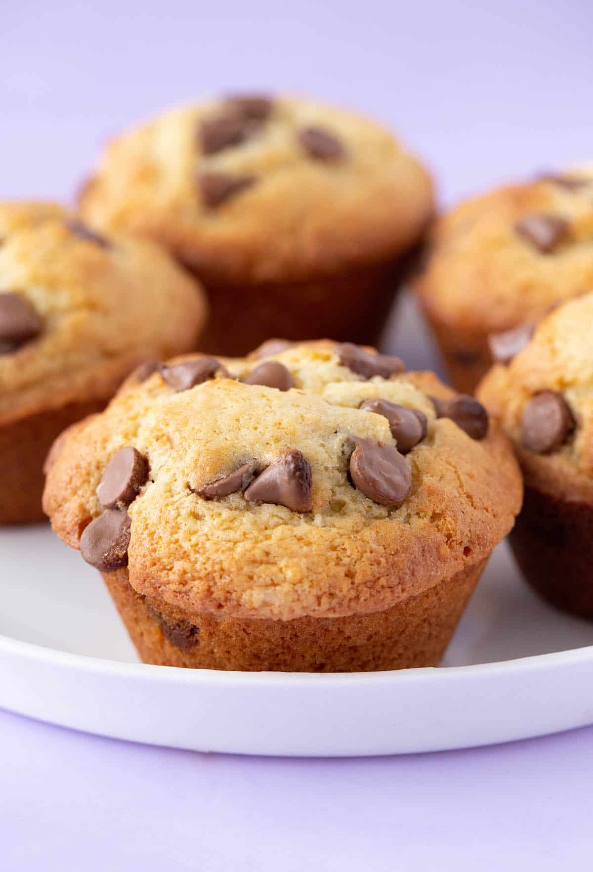 A plate of homemade Chocolate Chip Muffins.