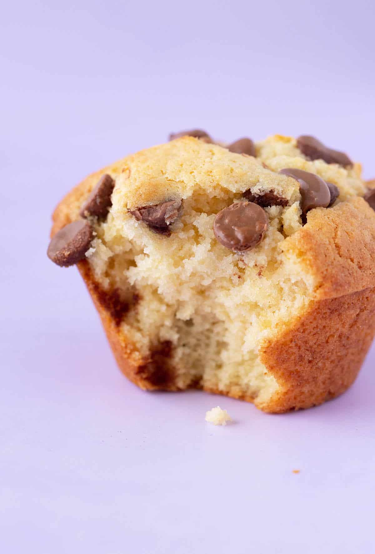 Close up of a Small Batch Chocolate Chip Muffin with a bite taken out of it - showing its soft and fluffy centre.