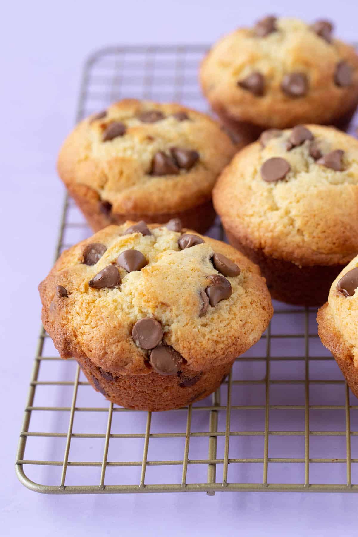Chocolate chip muffins all sitting on a wire rack.