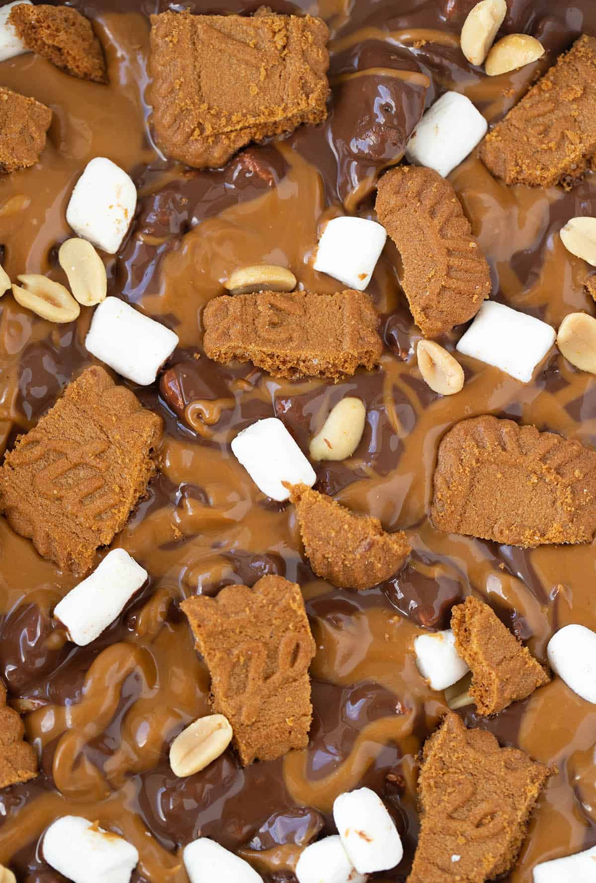 Close up view of the top of Biscoff Rocky Road slice decorated with marshmallows and Lotus Biscoff cookies.