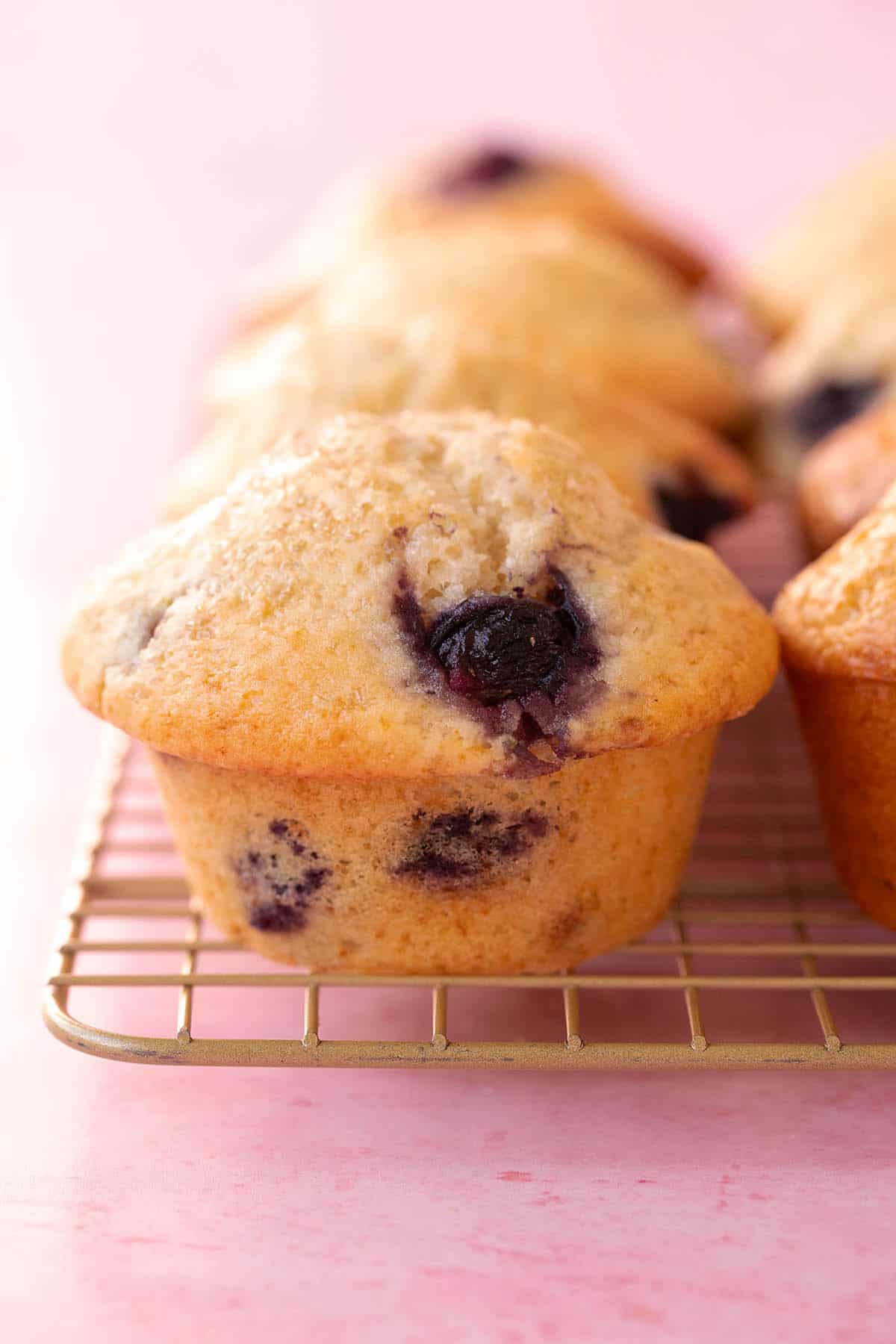 A tall bakery-style muffin sitting on a gold cooling rack. 