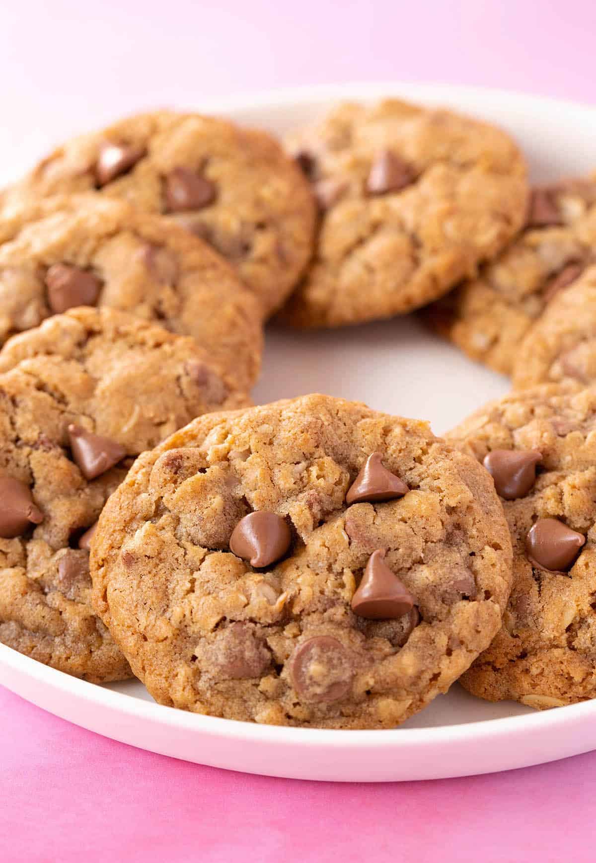 A plate of homemade Oatmeal Chocolate Chip Cookies sitting on a pink background.