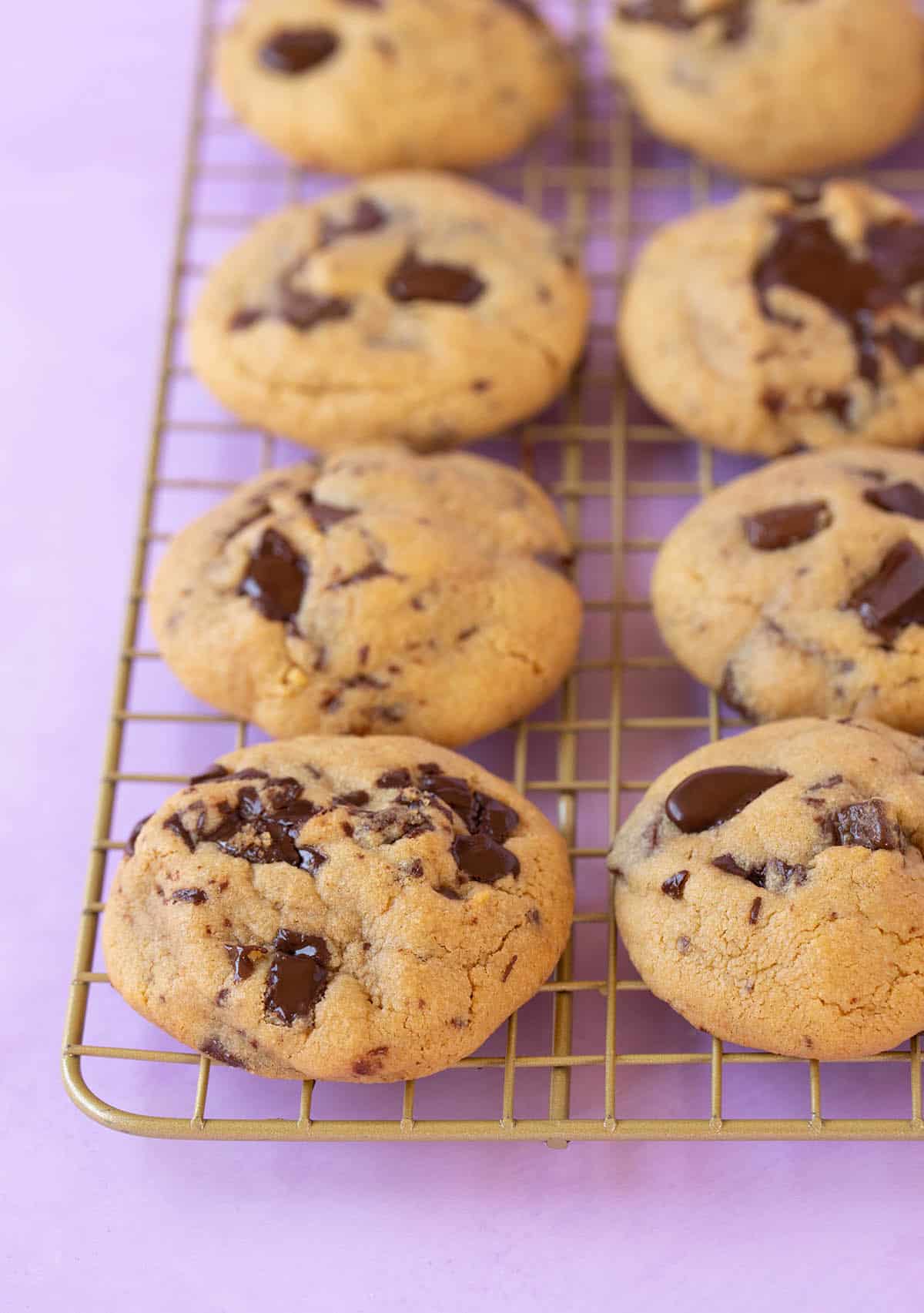 A plate of Peanut Butter Chocolate Chip Cookies cooling on a wire rack.